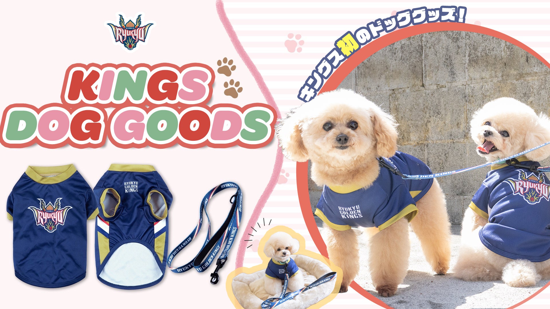 RYUKYU GOLDEN KINGS ファングッズ 新品未開封】琉球ゴールデン